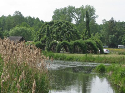 Holiday apartment Bookbindery am Haintor - Environment photo 39