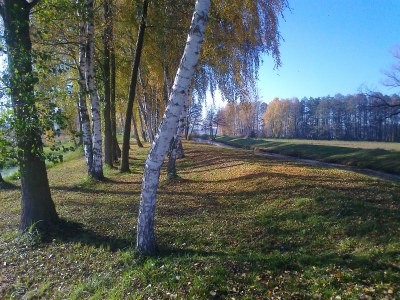 Holiday apartment Bookbindery am Haintor - Environment photo 40