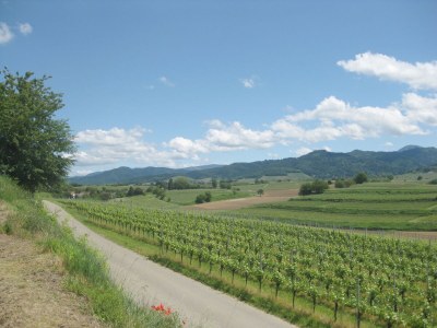 Holiday apartment Dreiländereck - Environment photo 14