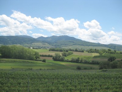 Holiday apartment Dreiländereck - Environment photo 16