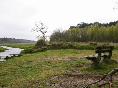 Holiday house Texel Californiëweg 305 - Environment photo 19