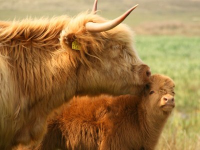 Holiday house Texel Californiëweg 305 - Environment photo 20