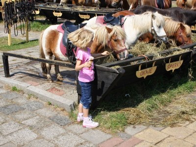 Holiday house Texel Californiëweg 305 - Environment photo 26