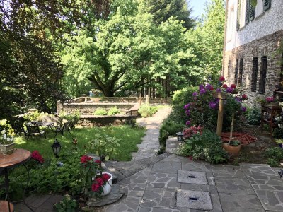 Holiday apartment Berggarten - Outdoor photo 10