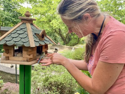 Holiday apartment Berggarten - Outdoor photo 11