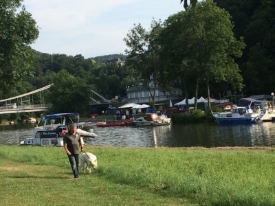 Holiday apartment Berggarten - Environment photo 28