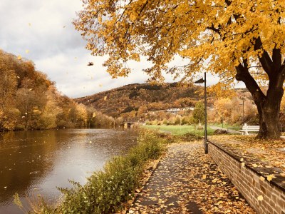 Holiday apartment Berggarten - Environment photo 33