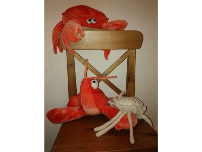 Holiday house Historical Monument: Historic "Balkenhäuschen" - Features photo 24