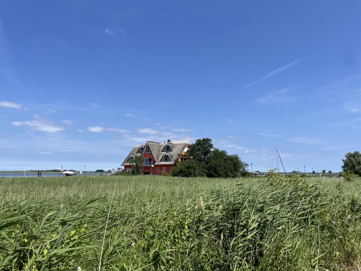 Holiday apartment Oystercatchers in the harbur house - Outdoor photo 3