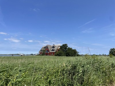 Holiday apartment Oystercatchers in the harbur house - Outdoor photo 3