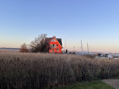 Holiday apartment Oystercatchers in the harbur house - Outdoor photo 12