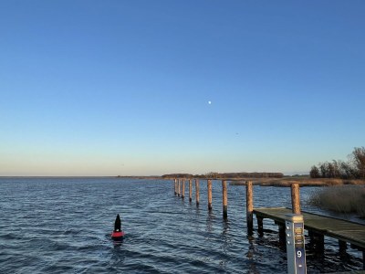 Holiday apartment Oystercatchers in the harbur house - Environment photo 31