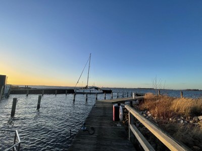 Holiday apartment Oystercatchers in the harbur house - Environment photo 32