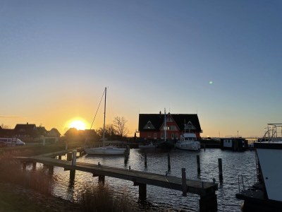 Holiday apartment Oystercatchers in the harbur house - Environment photo 33