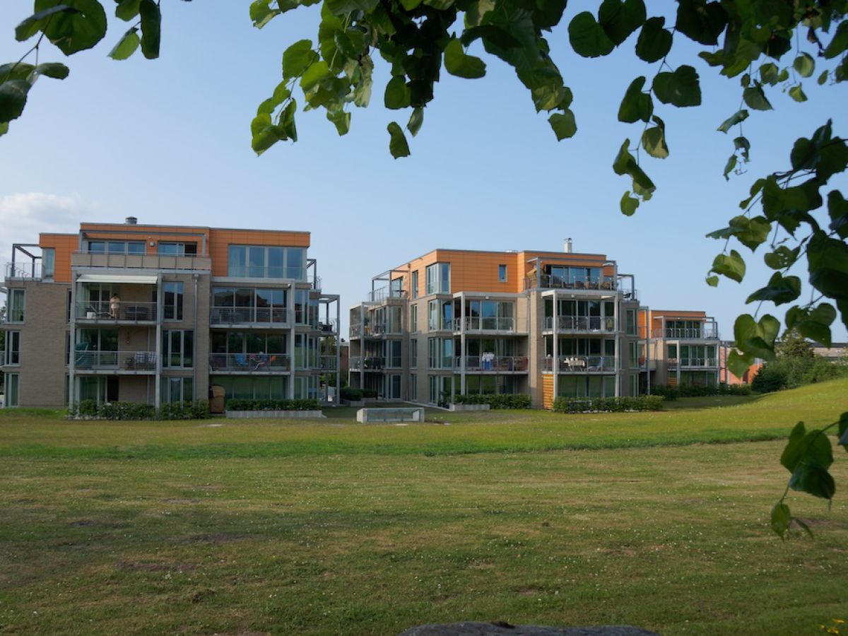 Holiday apartment Reese Traveblick - Outdoor photo 4