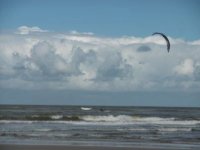 Sabine Reese-Holstein