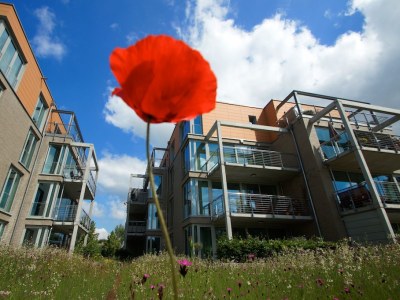 Holiday apartment Reese Traveblick - Outdoor photo 3