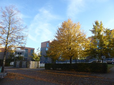 Holiday apartment Reese Traveblick - Outdoor photo 8