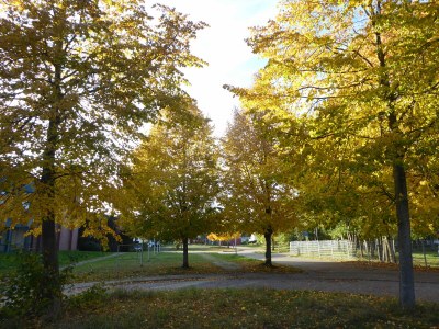 Holiday apartment Reese Traveblick - Outdoor photo 9