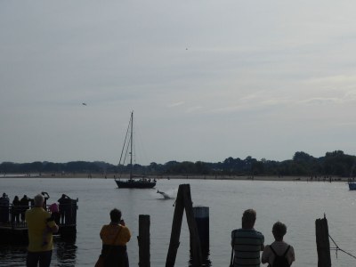 Holiday apartment Reese Traveblick - Environment photo 25