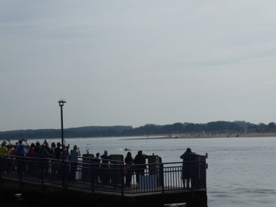 Holiday apartment Reese Traveblick - Environment photo 26