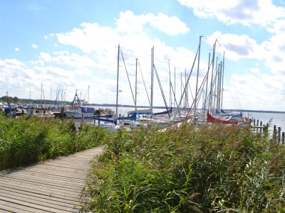 Holiday apartment Beach nest at the marina - Environment photo 17