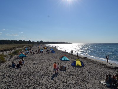 Holiday apartment Beach nest at the marina - Environment photo 19