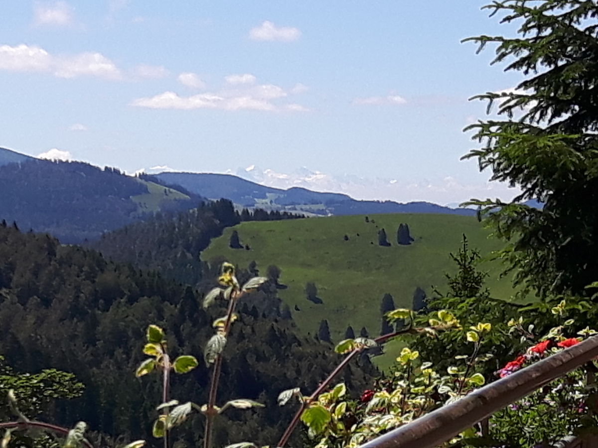 Holiday apartment Toscana - Outdoor photo 3