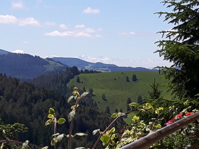 Holiday apartment Toscana - Outdoor photo 3