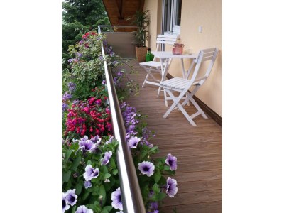 Holiday apartment Toscana - Outdoor photo 4