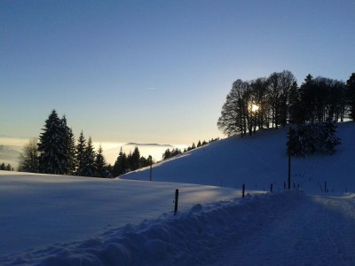 Holiday apartment Toscana - Environment photo 14