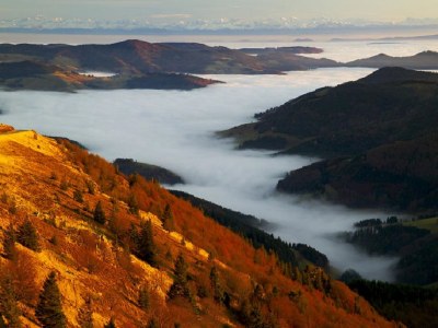 Holiday apartment Toscana - Environment photo 16