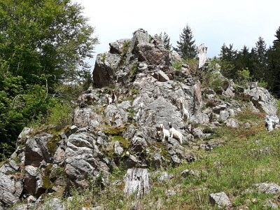 Holiday apartment Toscana - Environment photo 17