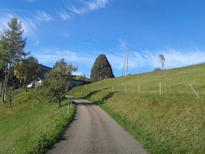 Holiday apartment Toscana - Environment photo 18