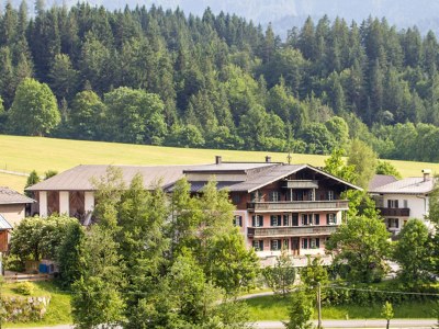 Holiday apartment KitzbÃ¼heler Horn in St. Jakob in Haus - Holiday apartment