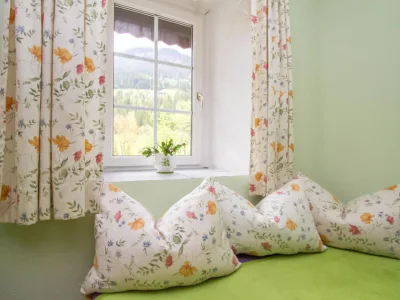 Holiday apartment KitzbÃ¼heler Horn - Features photo 8