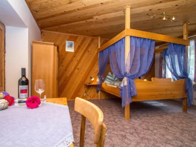 Holiday apartment KitzbÃ¼heler Horn - Features photo 10