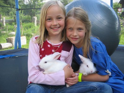 Holiday apartment KitzbÃ¼heler Horn - Environment photo 15