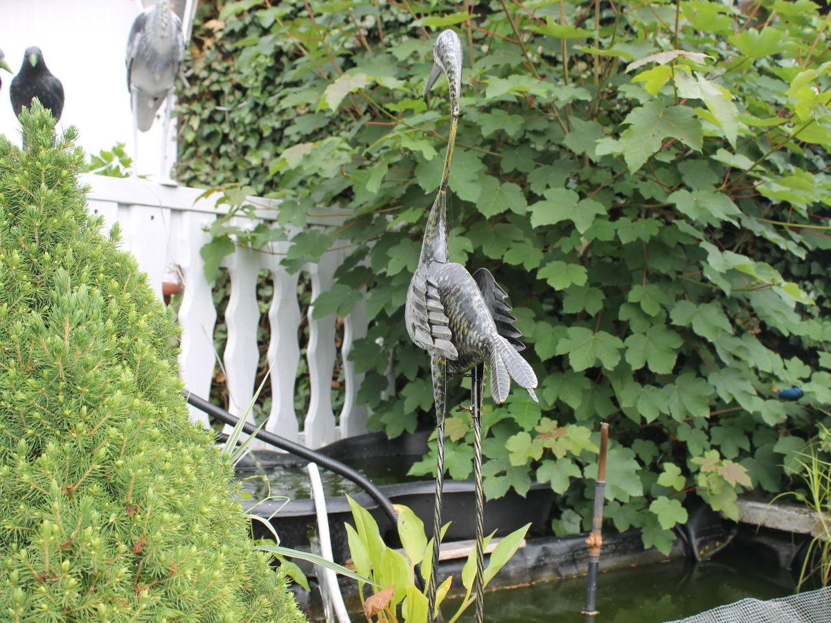 Holiday apartment Enzian - Outdoor photo 2