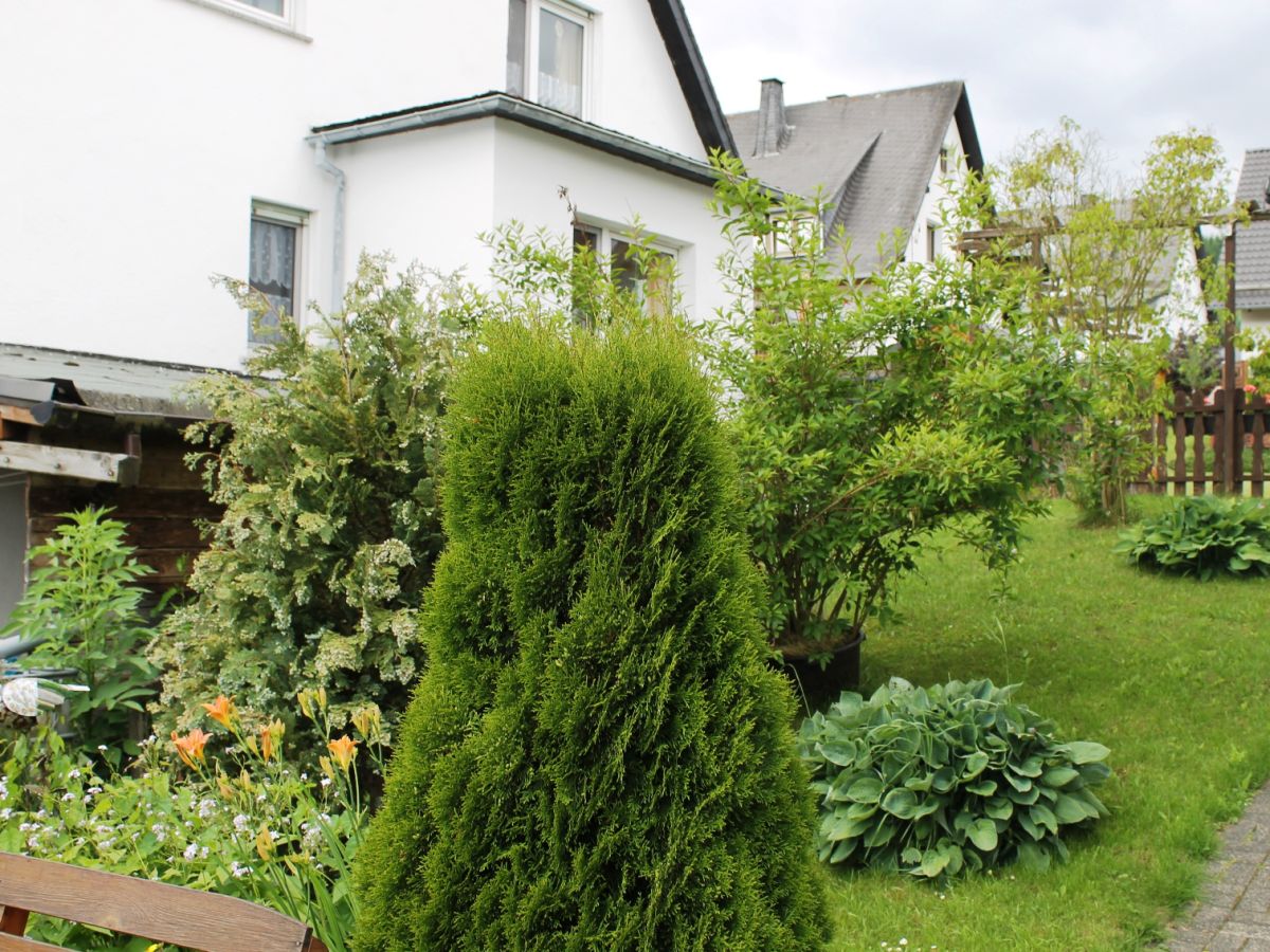 Holiday apartment Enzian - Outdoor photo 3