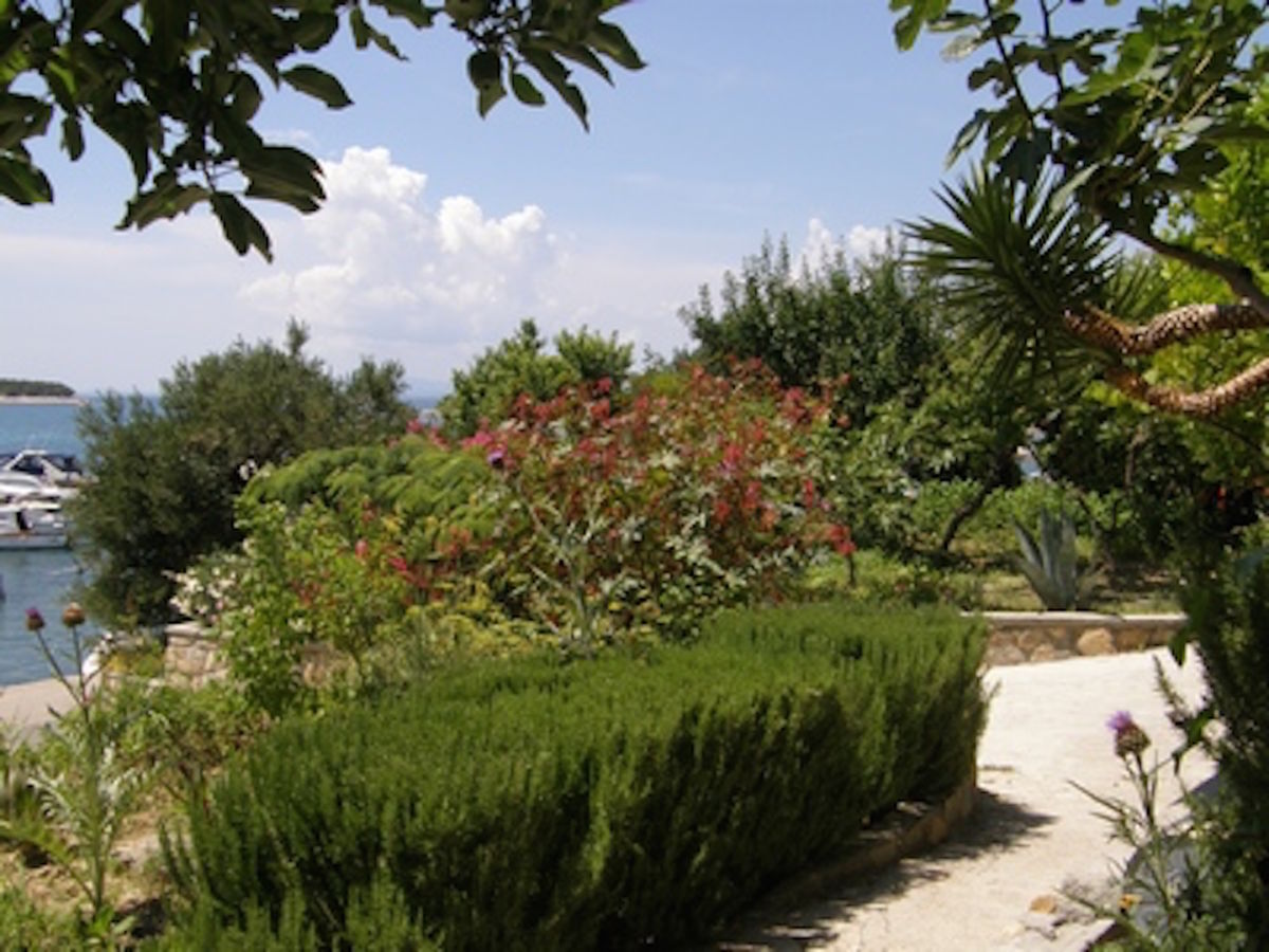 Apartment Martina - Outdoor photo 5