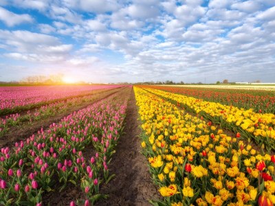 Holiday apartment de Vries - Environment photo 18