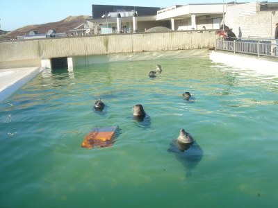 Holiday apartment de Vries - Environment photo 20