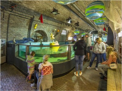 Holiday apartment de Vries - Environment photo 24