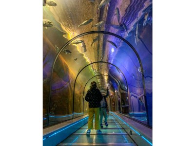 Holiday apartment de Vries - Environment photo 25