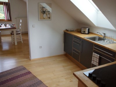 Holiday apartment Panoramablick Höllbachtal - Features photo 8