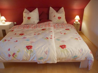 Holiday apartment Panoramablick Höllbachtal - Features photo 9