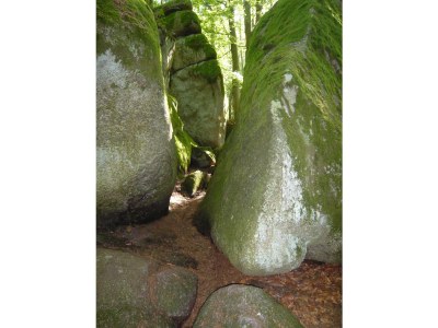 Holiday apartment Panoramablick Höllbachtal - Environment photo 13