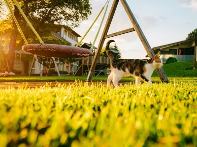 Holiday apartment 3 Gerlitzen - am Faaker See Karglhof - Environment photo 17