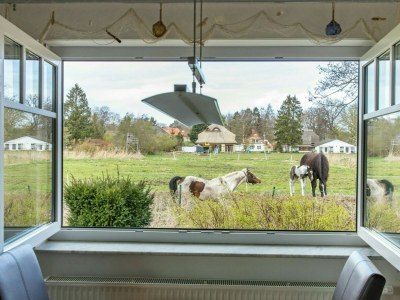 Holiday apartment Ferienwohnung Dorneneck in Prerow - Holiday apartment